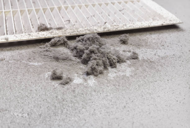 Best Affordable Duct Cleaning Services  in Athens, MI
