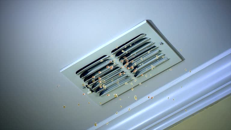 Home Air Vent Cleaning in Athens, MI