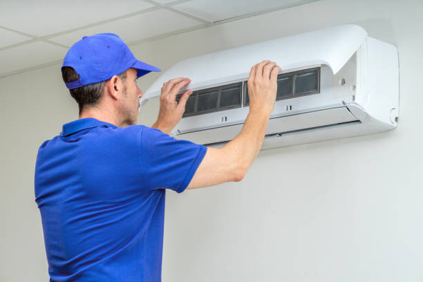 Best Air Duct Mold Removal  in Athens, MI